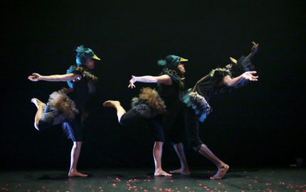 DIS, A QUOI TU DANSES ?